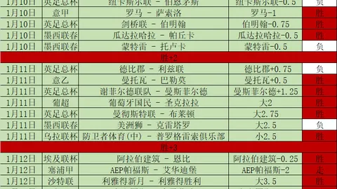 【NBA深度解析】揭秘比赛结果与得分细节大揭秘！
