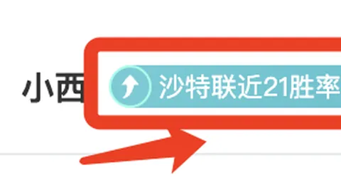 任俊霏邢珈宁冰舞搭档荣获第31名佳绩